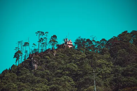 Cerro boscoso en el estado de Hidalgo